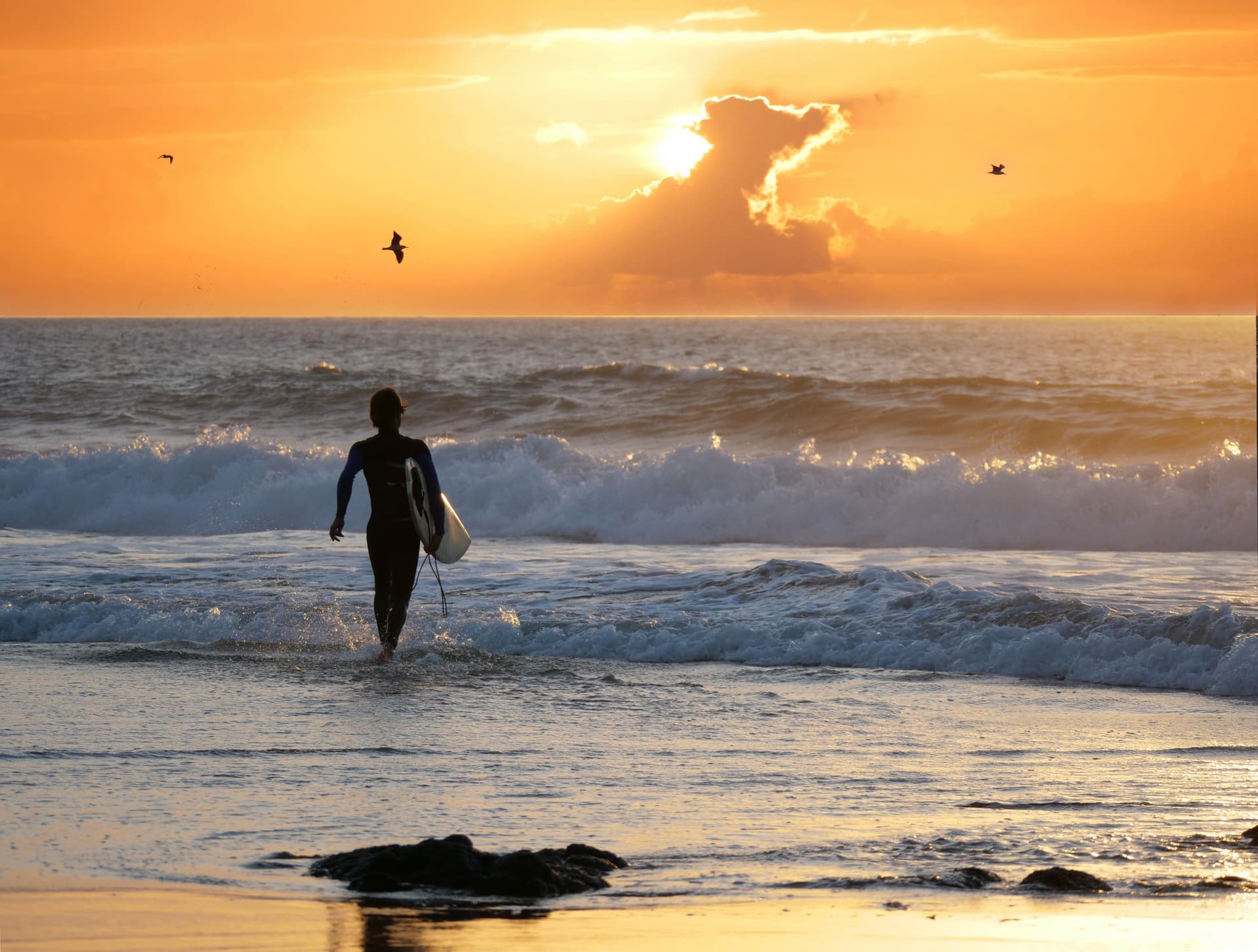 surf fuerteventura canaries